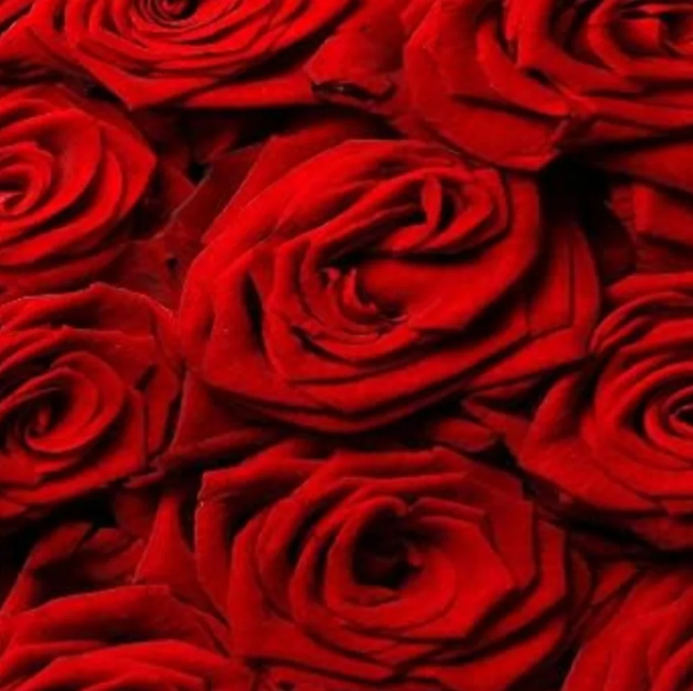 Red Roses Rug Bathroom Bedroom Kitchen Doormat Ruby Rose Flowers Floral Bath Mat